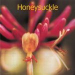 Fleurs de Bach : Honeysuckle